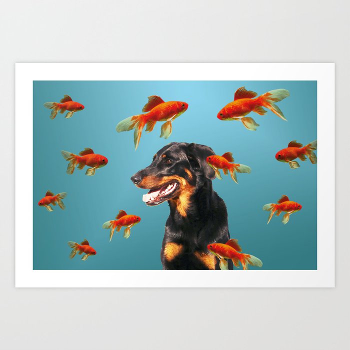 Doberman Dog Goldfishes - Aquarium Fantasy Collage Art Print