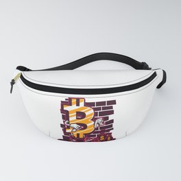 Crypto Currency Fanny Pack