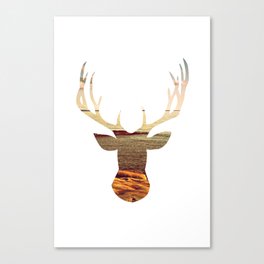 deer lake Canvas Print