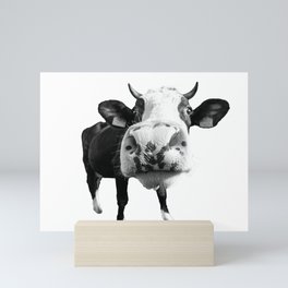 Inquisitive Cow Mini Art Print
