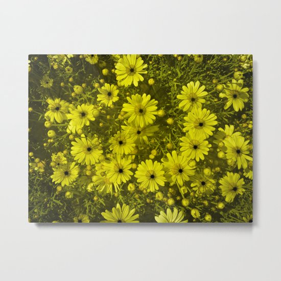 Blackhole Daisies Metal Print