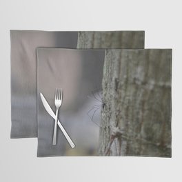 Spider  Placemat