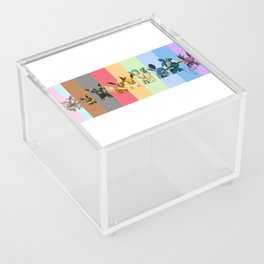 Rainbow of evolution Acrylic Box