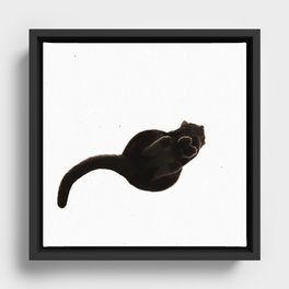 Cat's bottom Framed Canvas