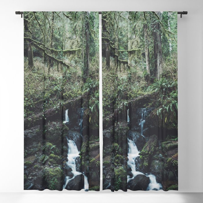 California Redwood Rainforest - Nature Photography Blackout Curtain
