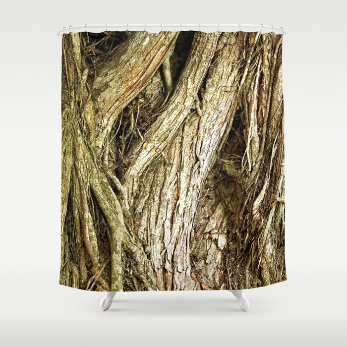 Majestic Gnarled Ficus Tree Trunk and Aerial Roots Texture Shower Curtain