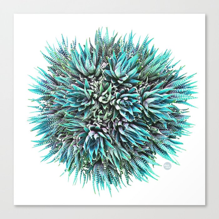 Cactus Crown 1. Blue & Green #decor #buyart Canvas Print
