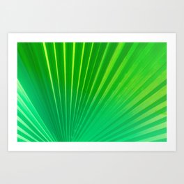 Palm Tree Leaf Art Print