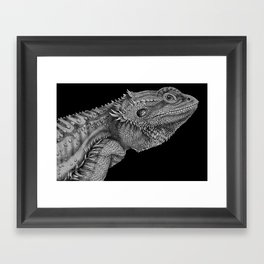 Bearded Dragon Framed Art Print