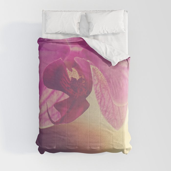 Morning Orchids Comforter
