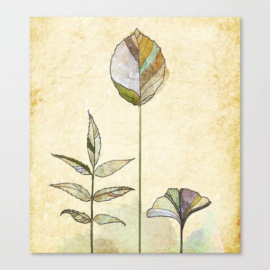 Leaf Study Canvas Print