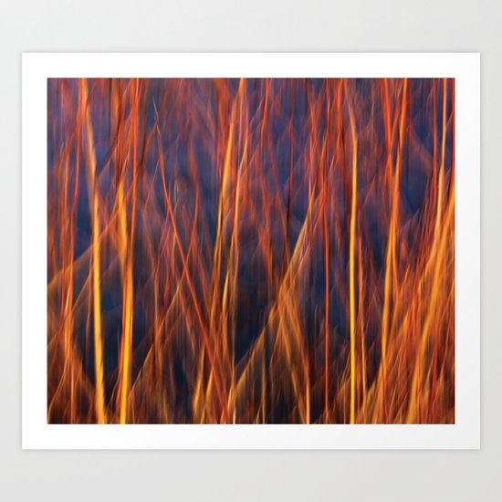 Orange Art Print