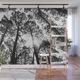 trees, black and white -  Forest landscape photography Wall Mural