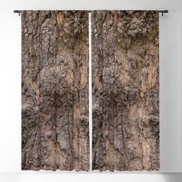 bark pattern of a tree in nature forest Blackout Curtain