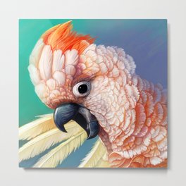 Moluccan Cockatoo realistic painting Metal Print | Birdlover, Parrot, Bird, Birdmerchandise, Moluccancockatoo, Crazybirdlady, Birdportrait, Painting, Digitalart, Exoticanimal 