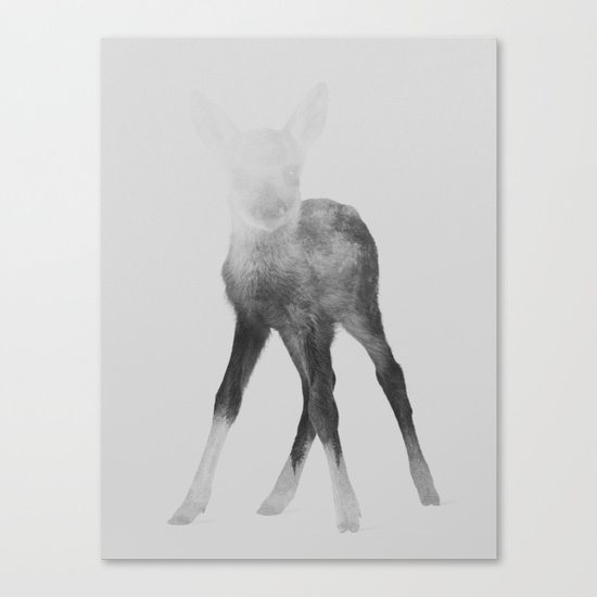Deer Fawn (black & white version) Canvas Print