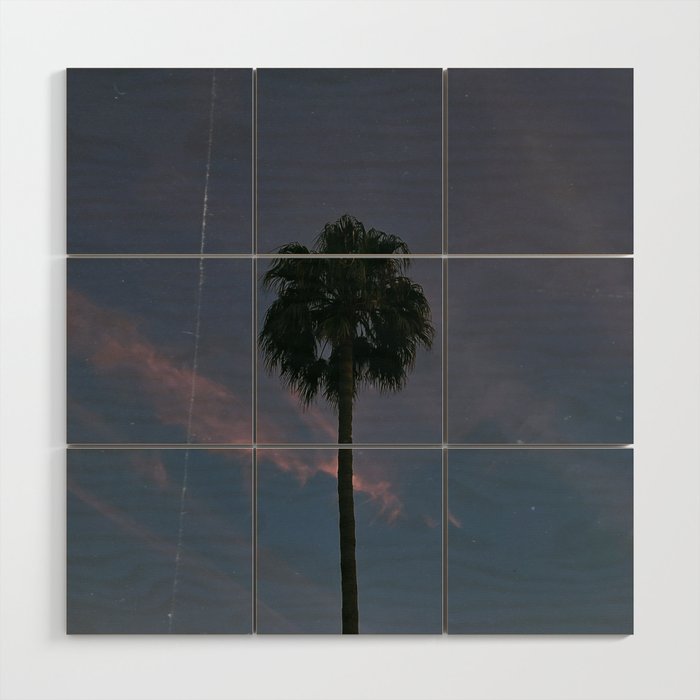 palm tree in california iii, in december Wood Wall Art