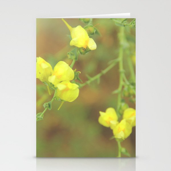 Yellow Stationery Cards
