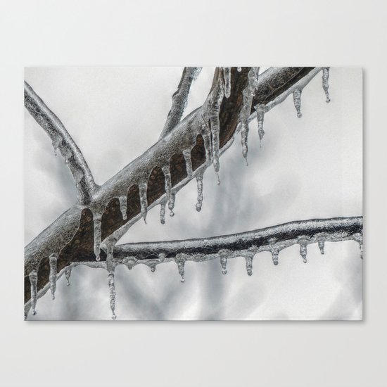 Icy Branch Canvas Print