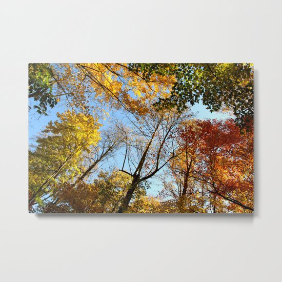 Autumns Up! (A Fall View) Metal Print
