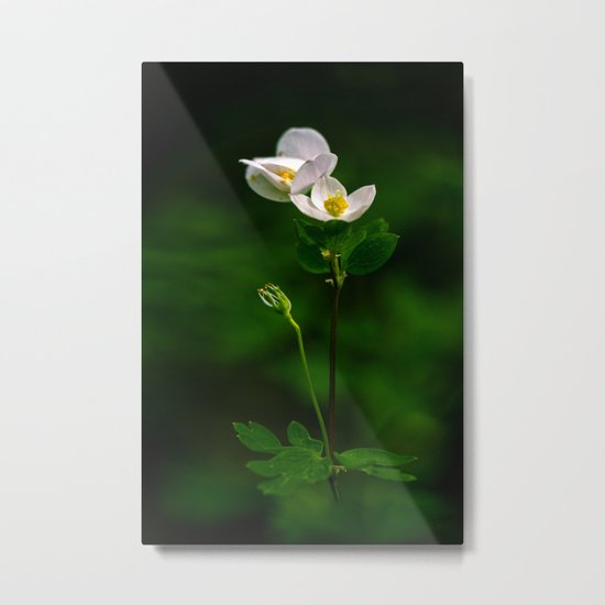 out of the green Metal Print