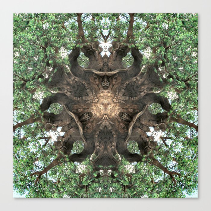 Cathedral Tree Canvas Print
