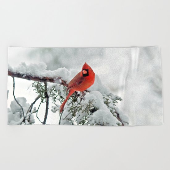 Cardinal on Snowy Branch #3 Beach Towel