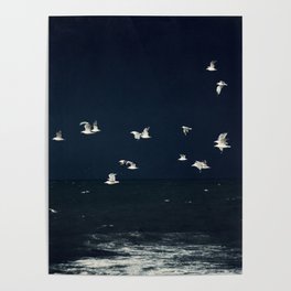 Birds in Flight - Dark Blue Sea - Ocean Print - Travel photography Poster