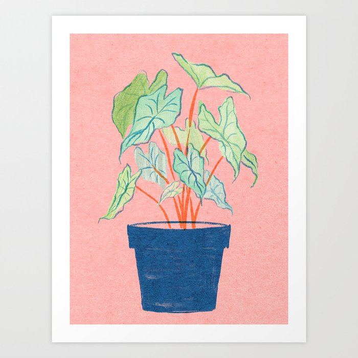 Caladium Plant Art Print
