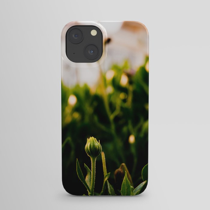 the enlightenment iPhone Case