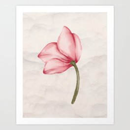 una flor, quiero regalarte Art Print