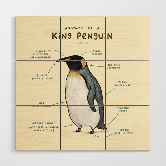 Anatomy of a King Penguin Wood Wall Art