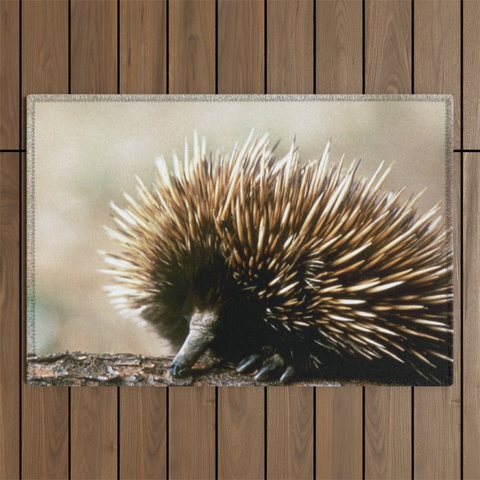 Australia Photography - Hedgehog Sitting On A Log Outdoor Rug