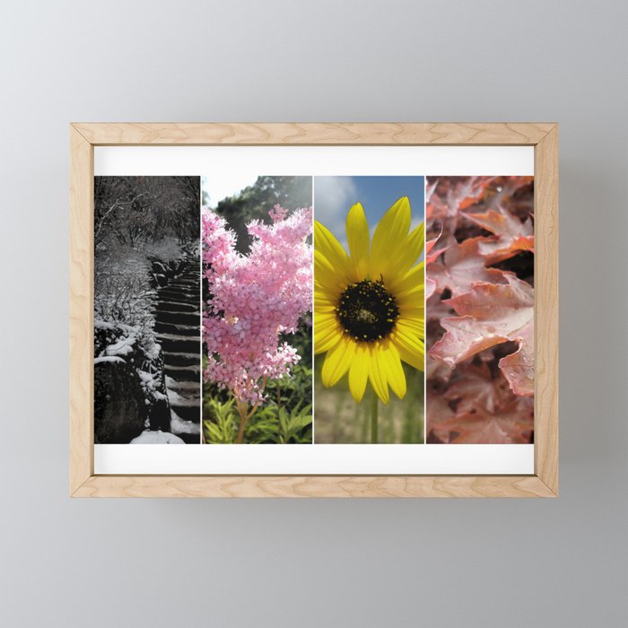 Four Seasons Framed Mini Art Print