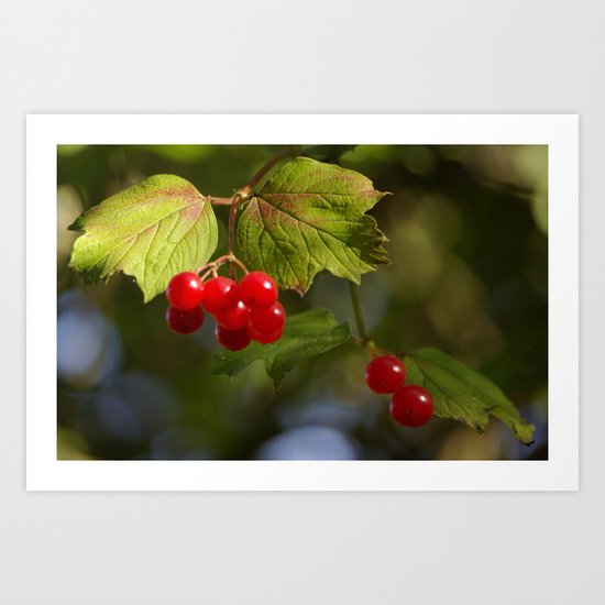 Very Berry Art Print