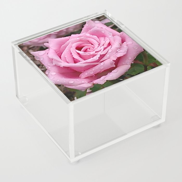 Pink Wet Rose Acrylic Box