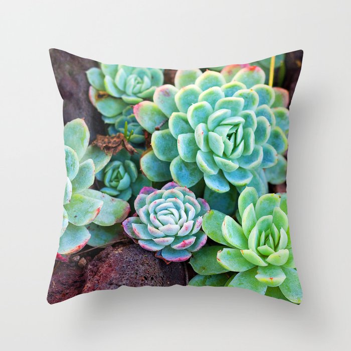 Green Succulents Throw Pillow