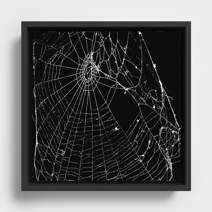 Framed Canvas