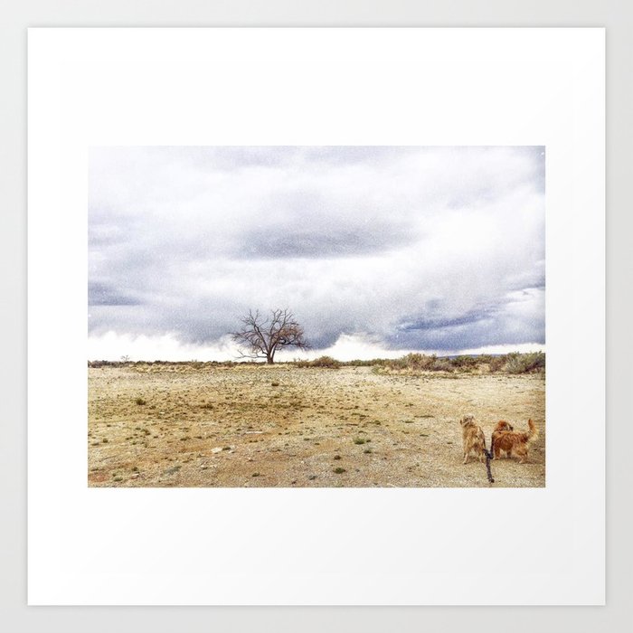 Desertscape with dogs Art Print