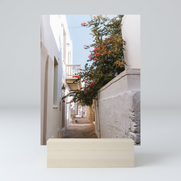 Small Greek Street | Flower Filled Mediterranean Ally | Travel Photography on the Islands of Greece Mini Art Print