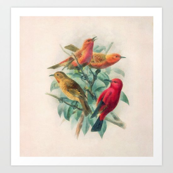 Songbirds Art Print