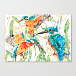 Beautiful Watercolour Kingfisher  Canvas Print