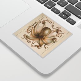 Octopus from "Mollusques Méditeranéens" by Jean Baptiste Vérany, 1851 Sticker