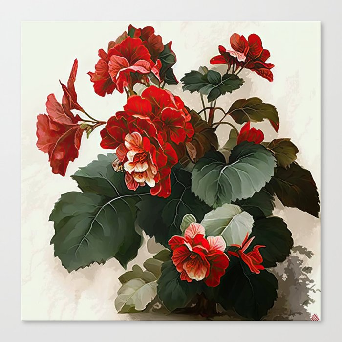 Red Begonias  Canvas Print