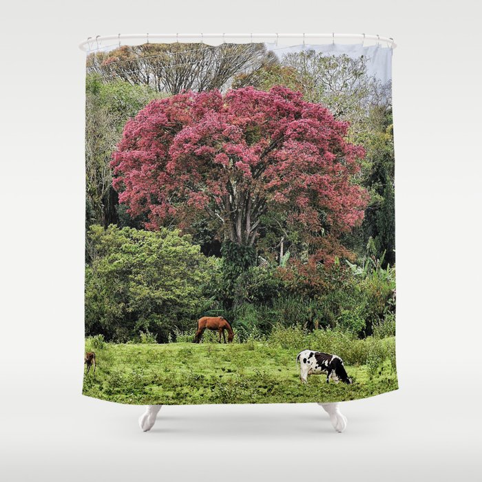 At conwtryside Shower Curtain