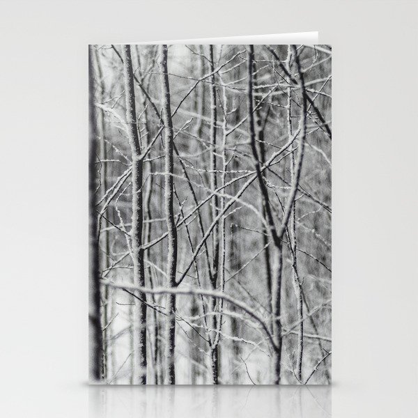 Winter gris Stationery Cards