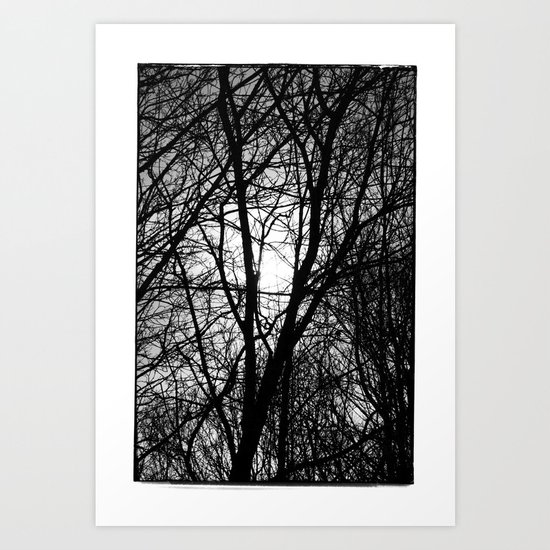 Norwegian forest IV Art Print