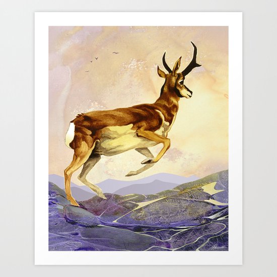 Pronghorn in the Morning Art Print