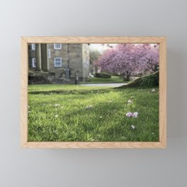 Spring afternoon Framed Mini Art Print