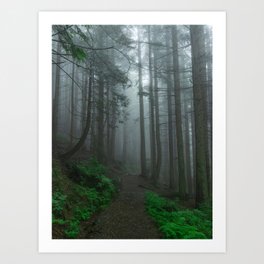 Foggy Forest - Moody Nature Photography No. 1 Art Print
